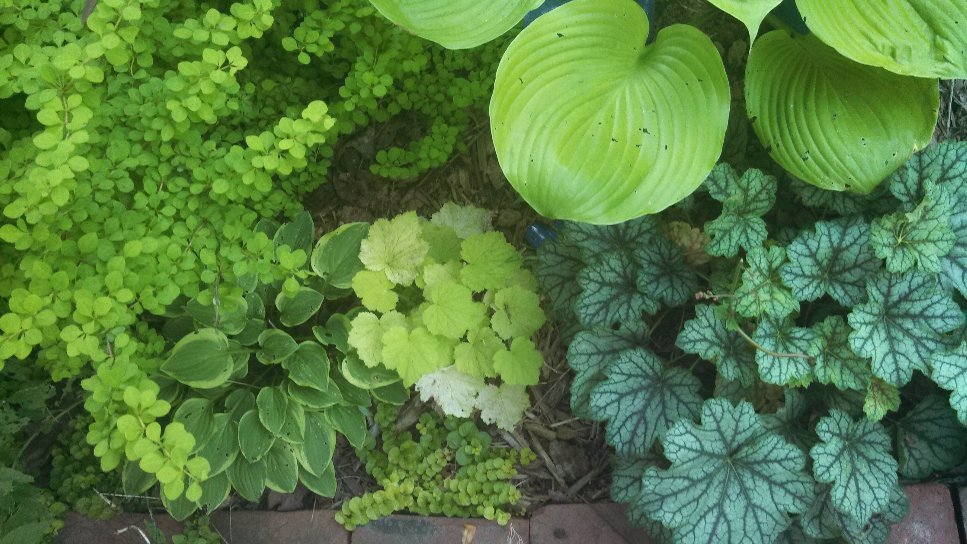 bumpypumpfarm's profile banner image