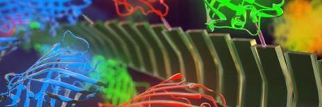 Collier Lab banner