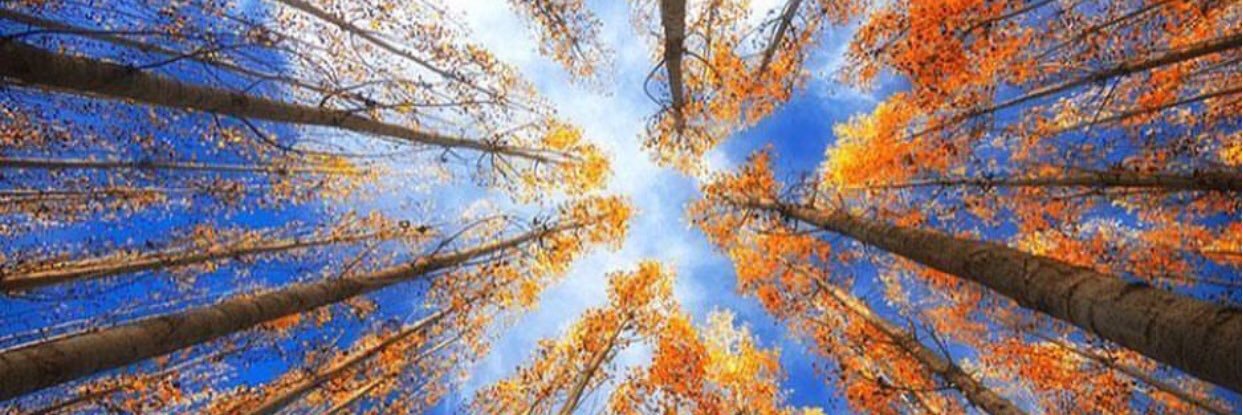 Alay_Patel's profile banner image