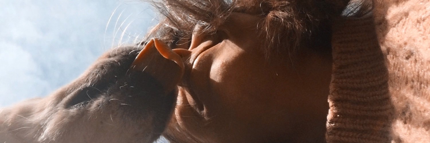 RomanelliLucila's profile banner image