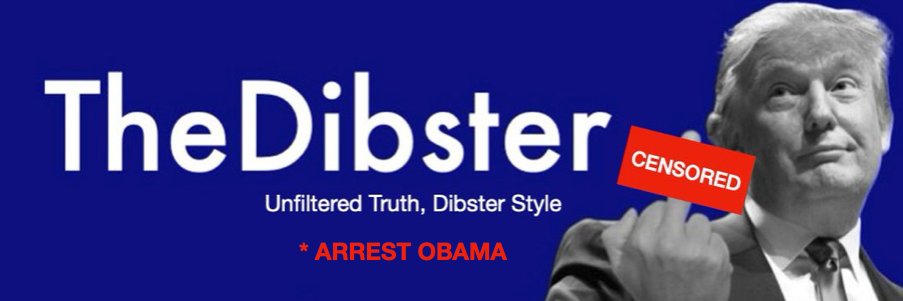 The Dibster's banner