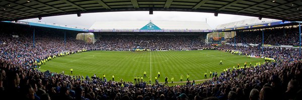 Owlstalk Profile Banner