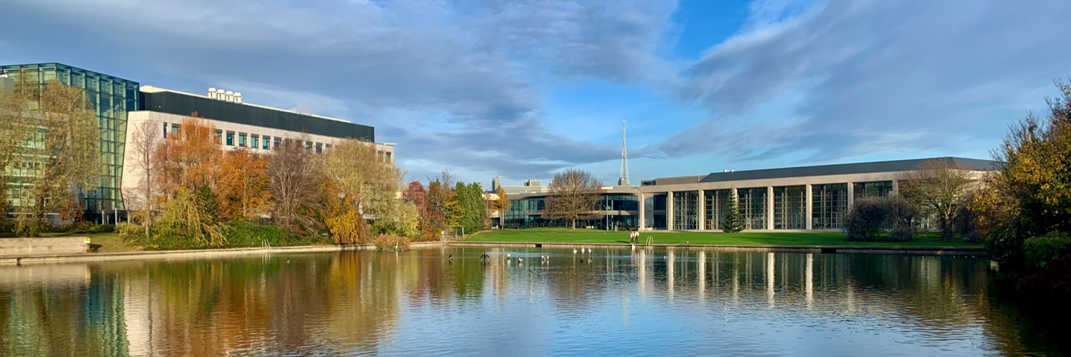 UCD Politics and International Relations banner