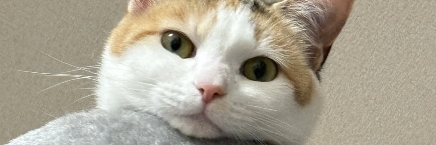 miichan705's profile banner image