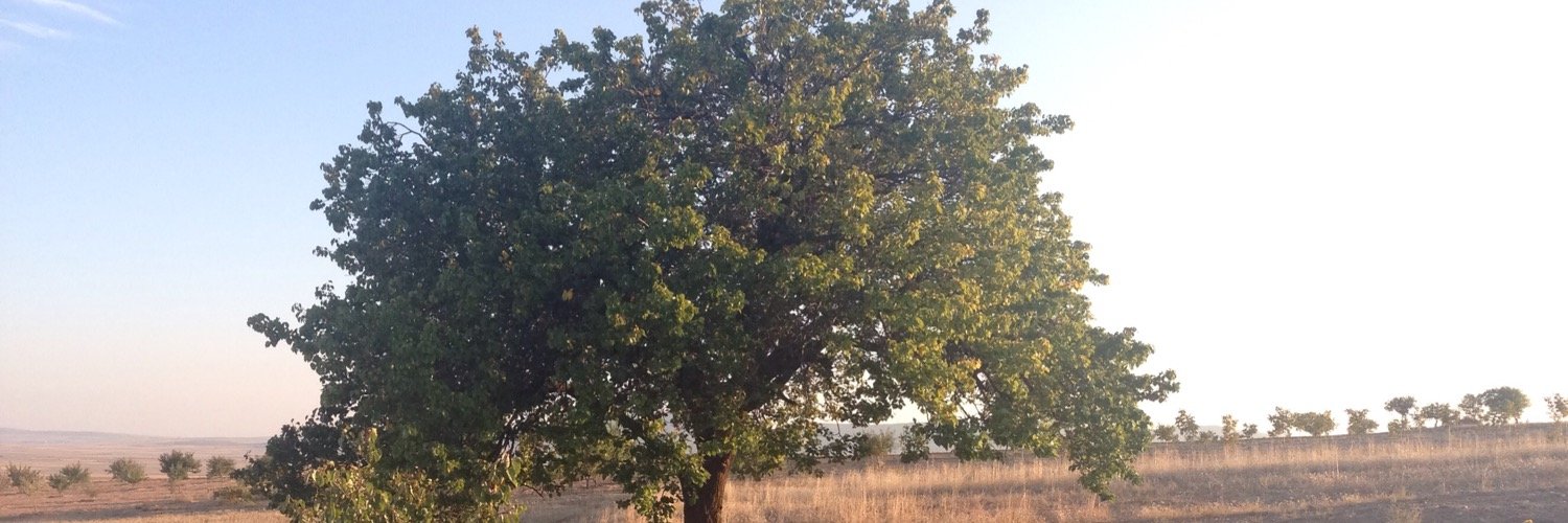 Seref_Akar's profile banner image