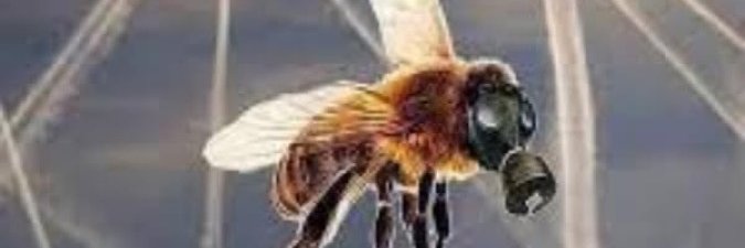 J Marcoux (Prosecute Fauci and Gates) banner