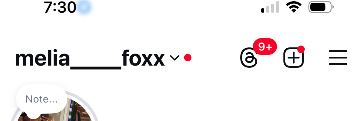 MeliaFoxx's profile banner image