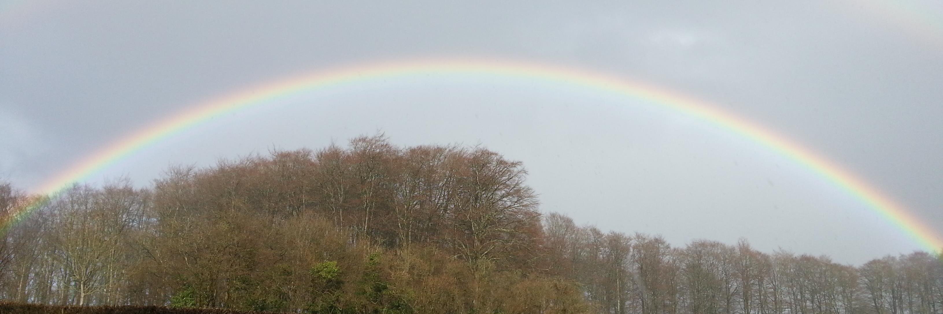 Nature_StFagans's profile banner image