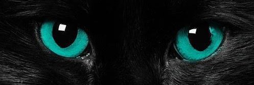 Bibi_Balsan's profile banner image