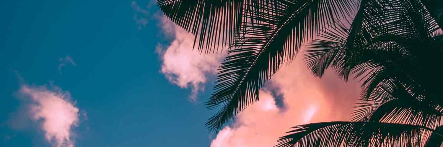 すい(4/3発送) banner