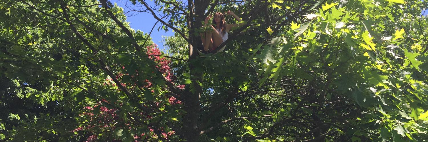 hannahfreibert's profile banner image