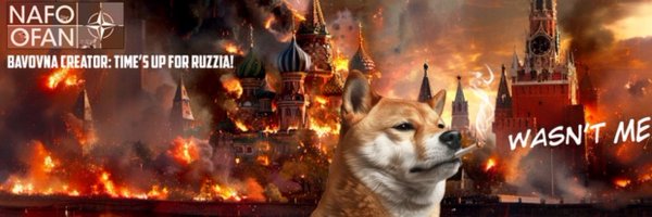 EggsForDummies Profile Banner