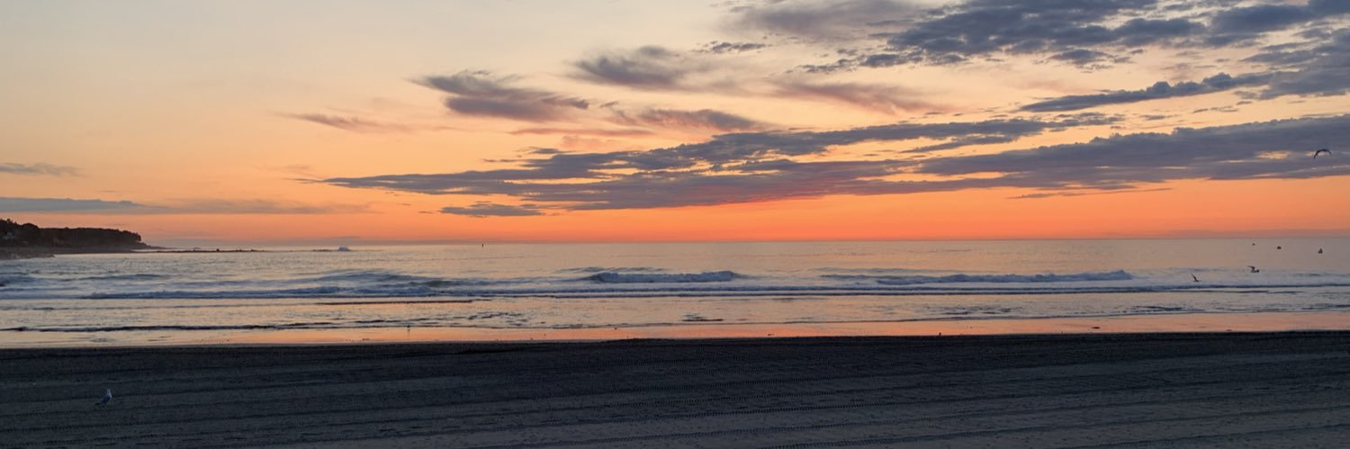 suechieca's profile banner image