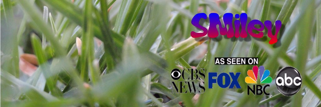 Smileyinusa's profile banner image