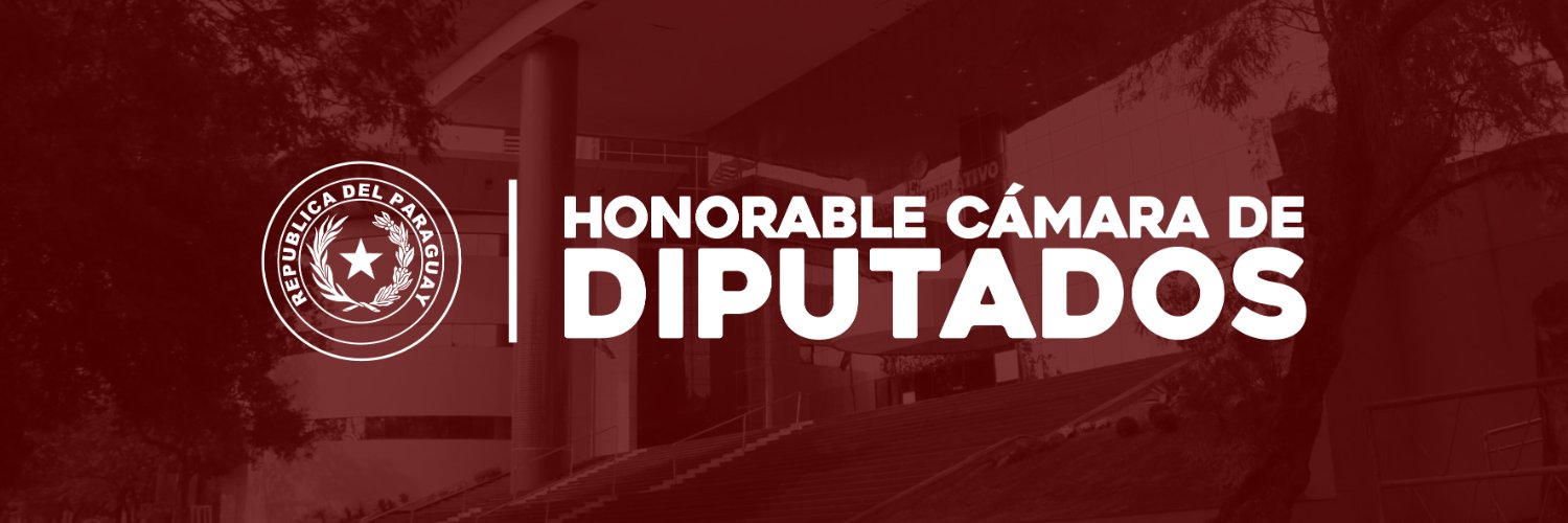 Cámara de Diputados banner