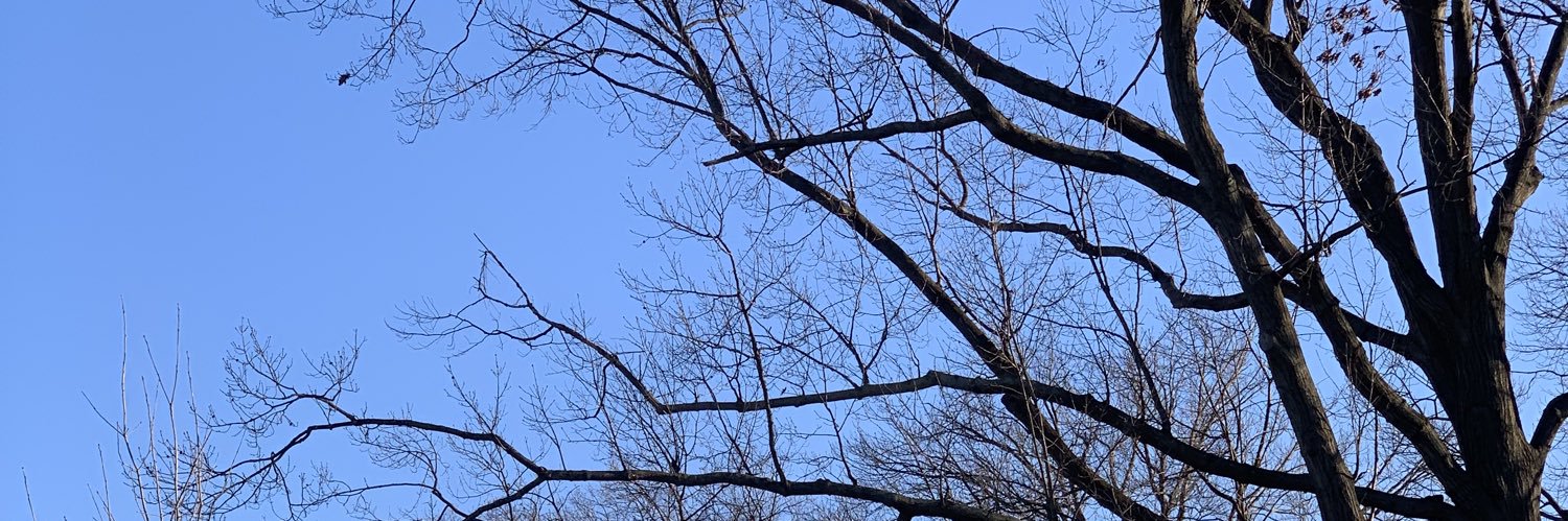 AriRey24's profile banner image