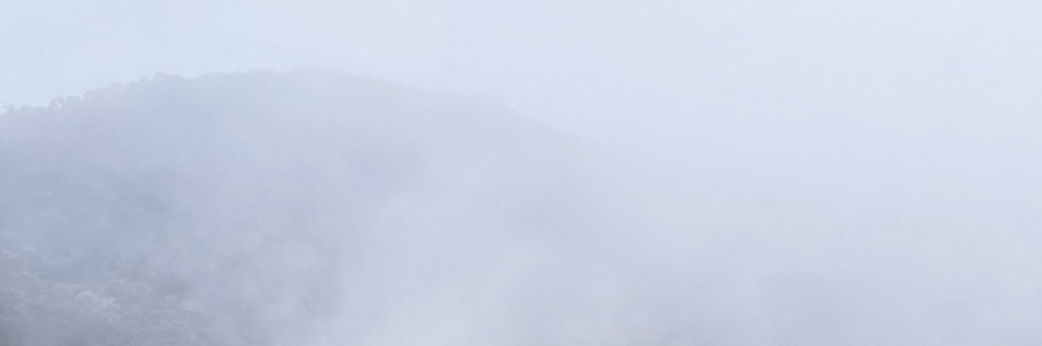 escobareja's profile banner image