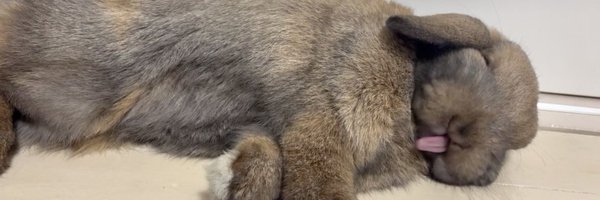 WiiU_Gamepad Profile Banner