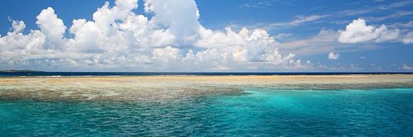 w19670 Profile Banner