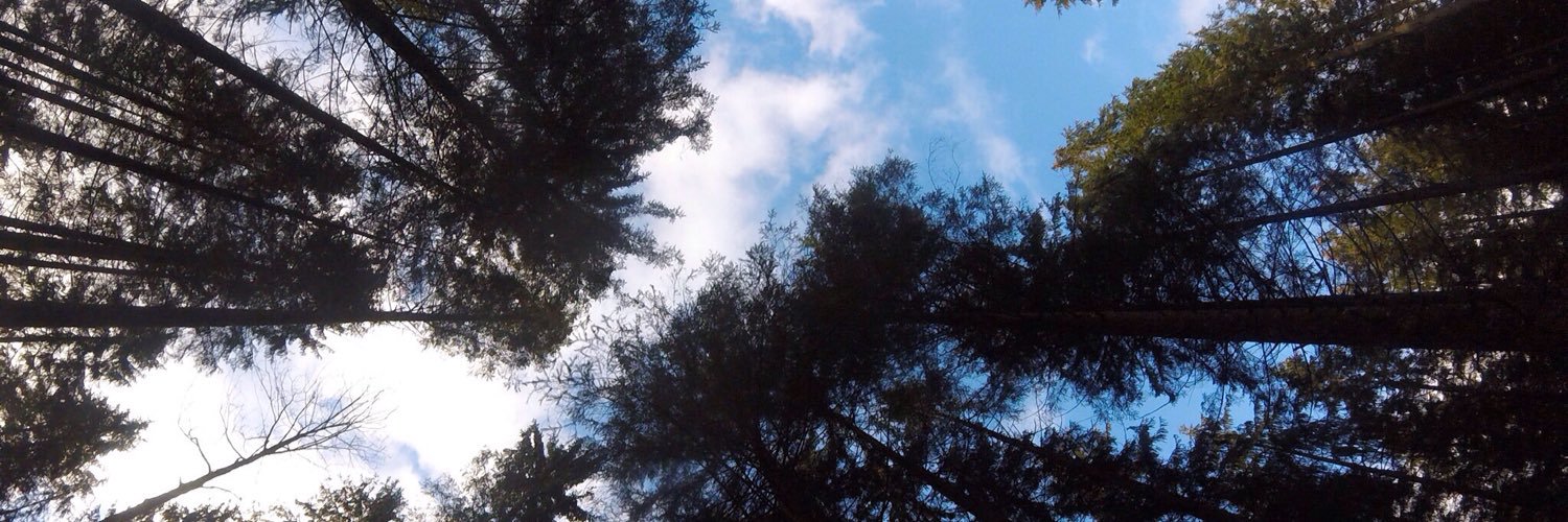 Emily_Hatcher's profile banner image