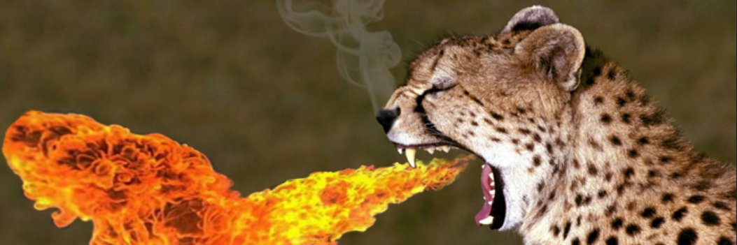 Ericwolf2's profile banner image
