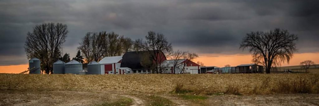 matzekdan's profile banner image