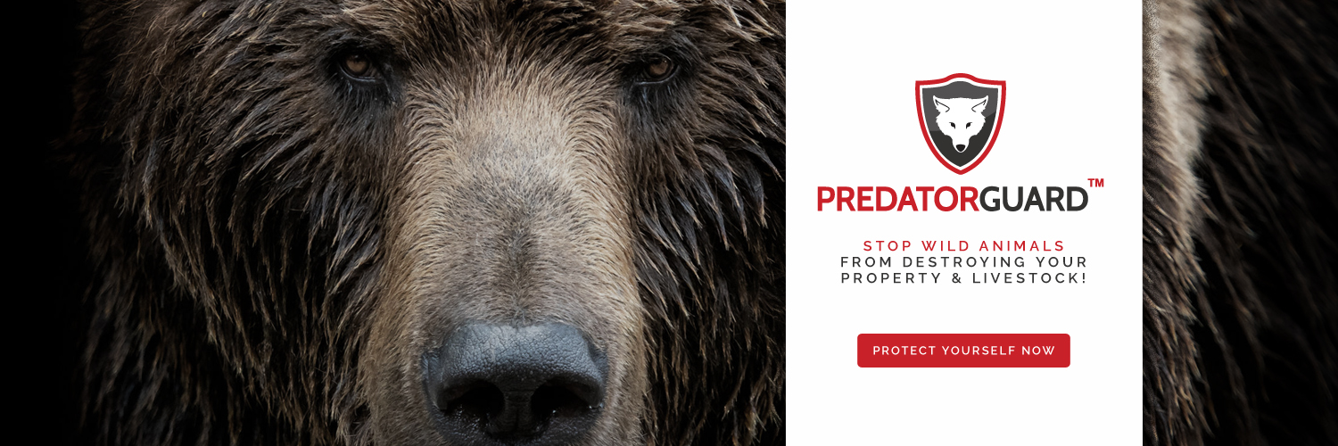 PredatorGuard's profile banner image