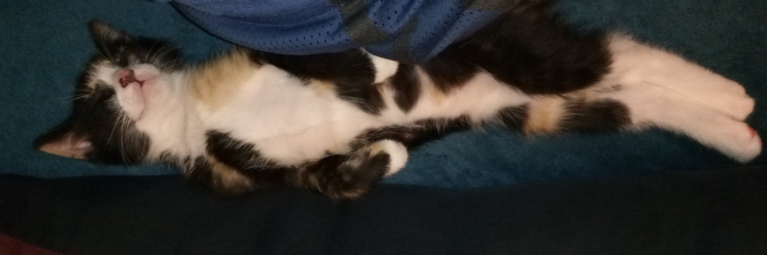 BlueEyedLynx's profile banner image