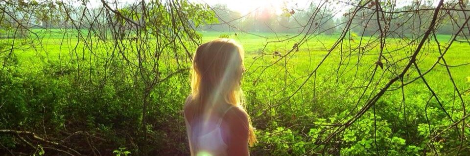 lisabachinger's profile banner image