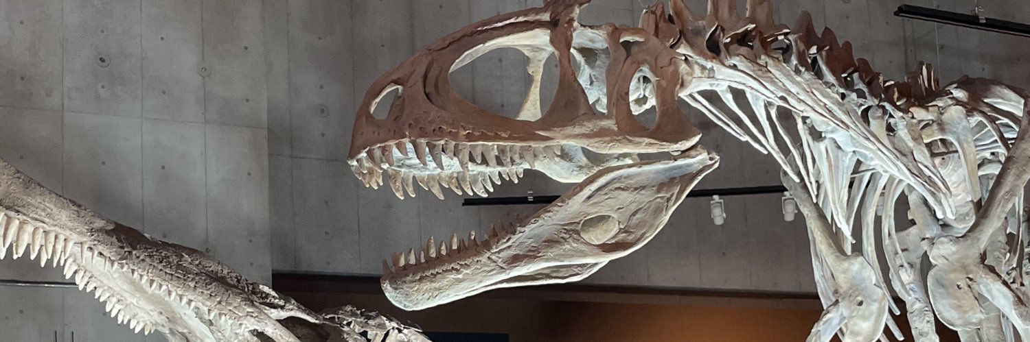 TザウルスⅡ banner