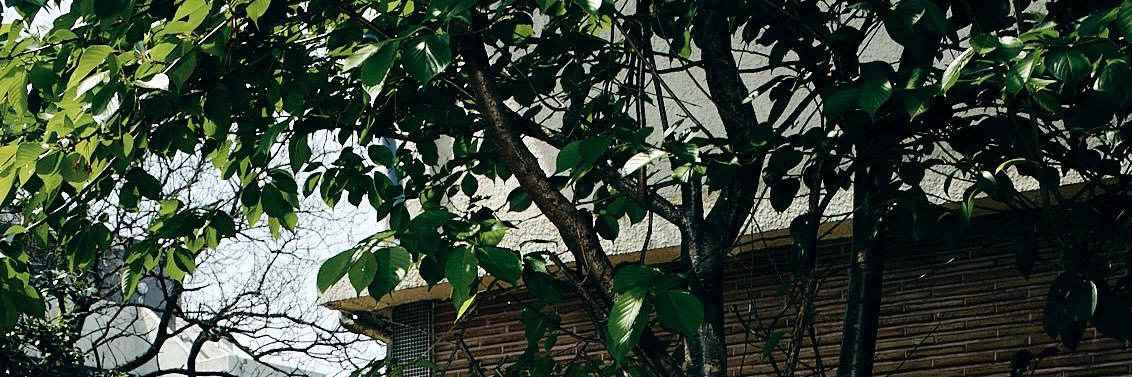 凶ベタ止まり banner