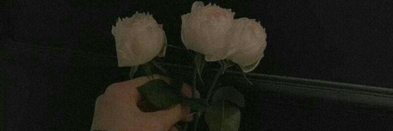 zargool_01's banner
