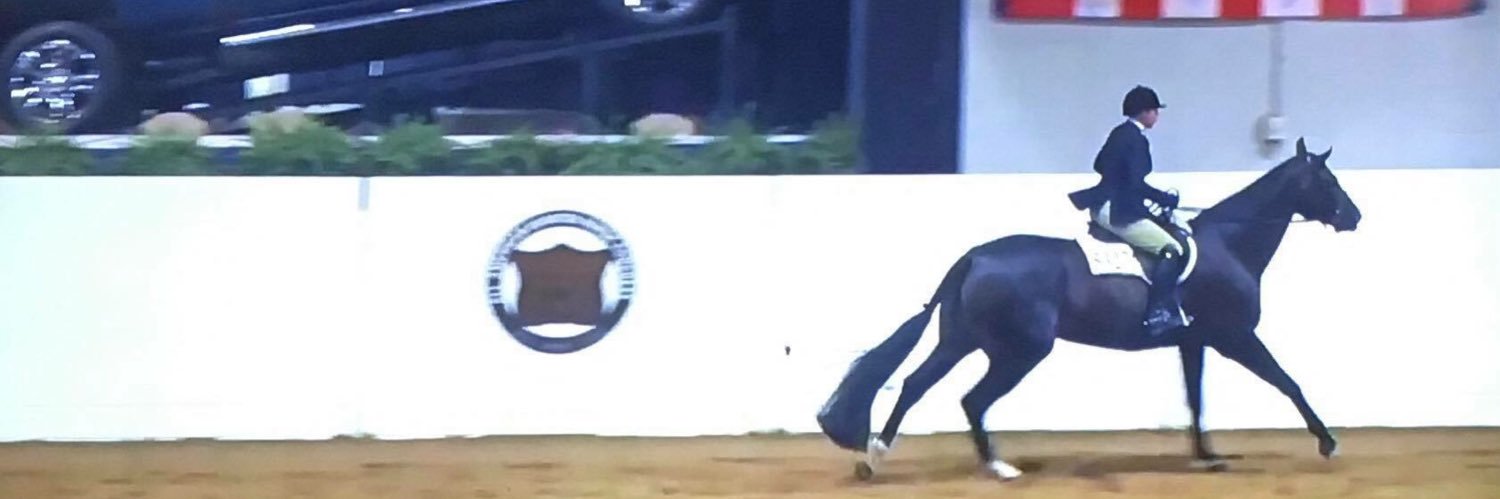 Huntseat Probs banner