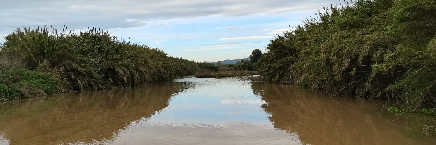 🦷bitDA🕶️ banner