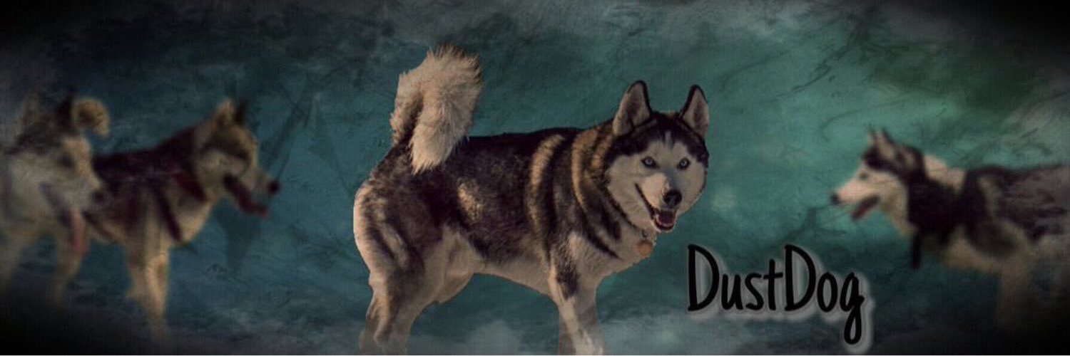DustDogMC's profile banner image