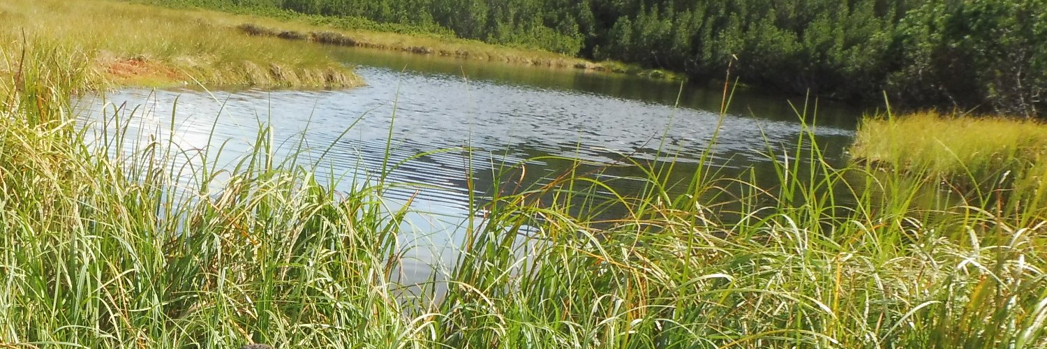 Mekk 🇵🇱 banner