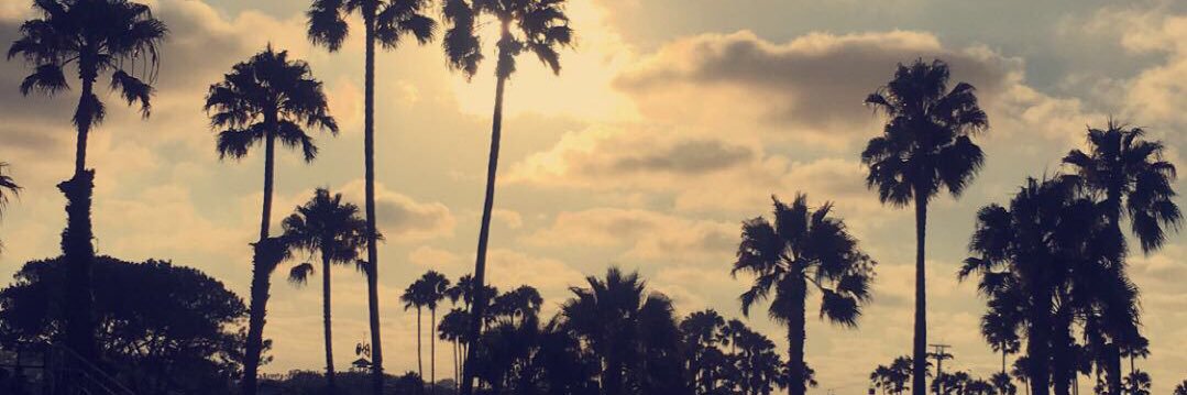 Ash_Madri's profile banner image