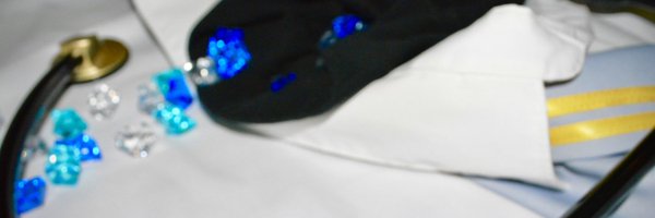 shiso_ginger Profile Banner