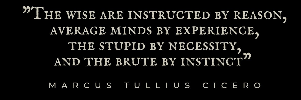 Mocking Eagle banner