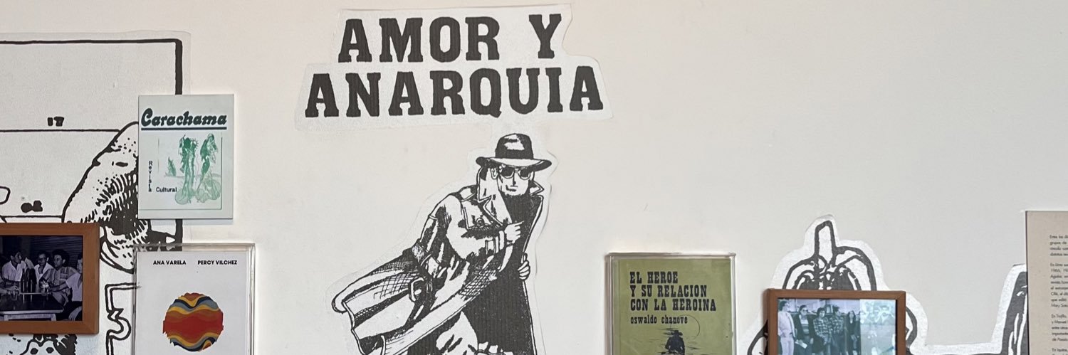 camila banner