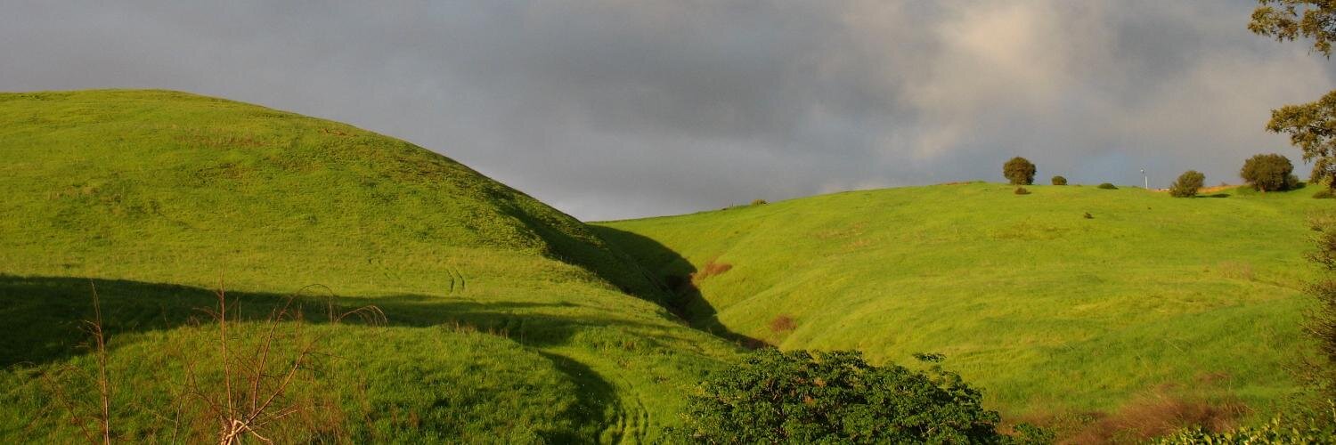 Bertha Rohrbach banner