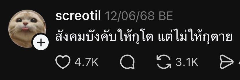 เค้ารักแป๋ว banner