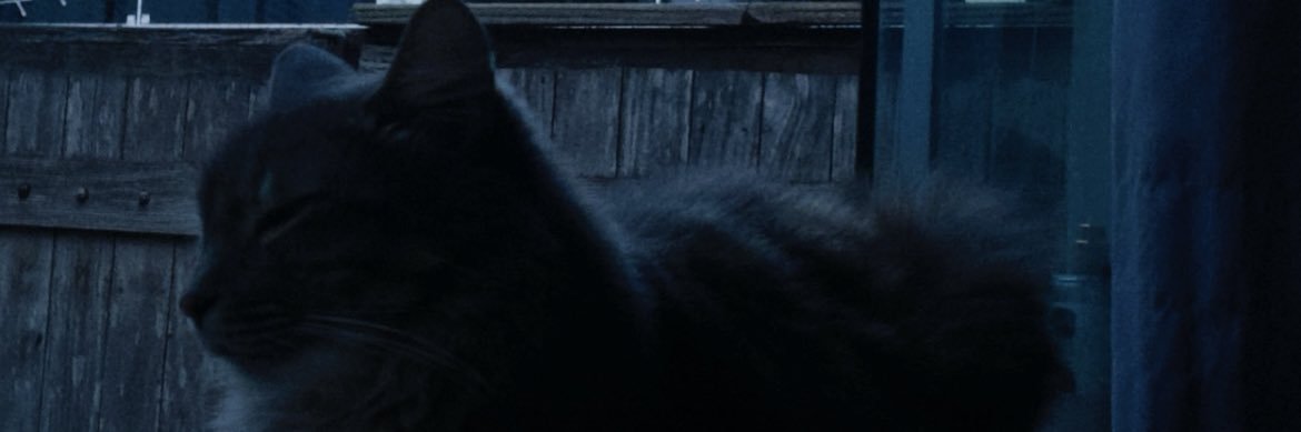 Angelbyrio's profile banner image