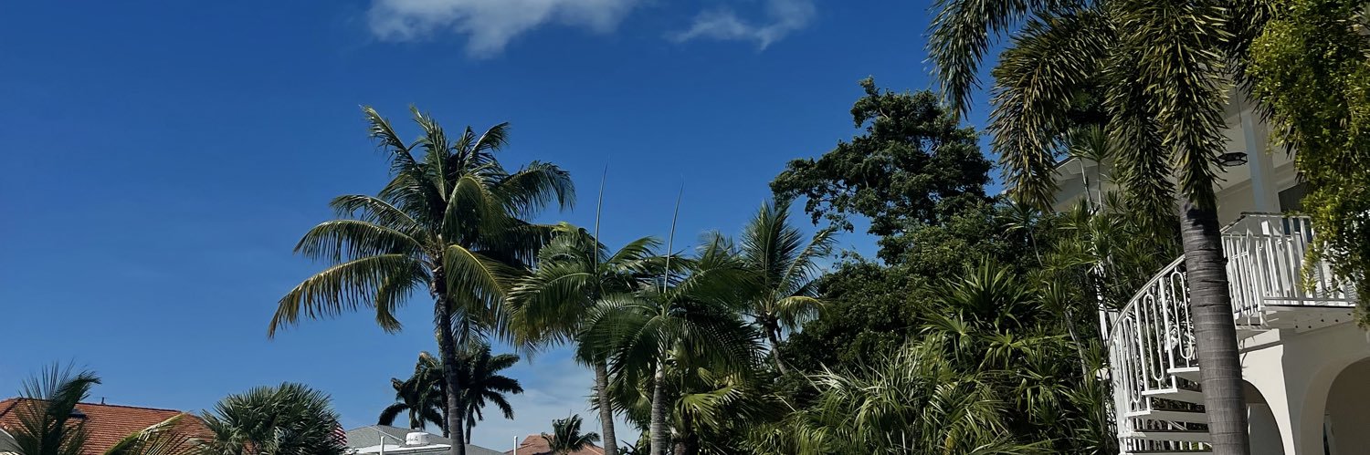 lyzziemedina's profile banner image