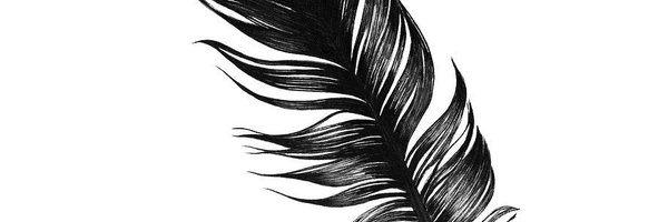 TDaviesEditing Profile Banner