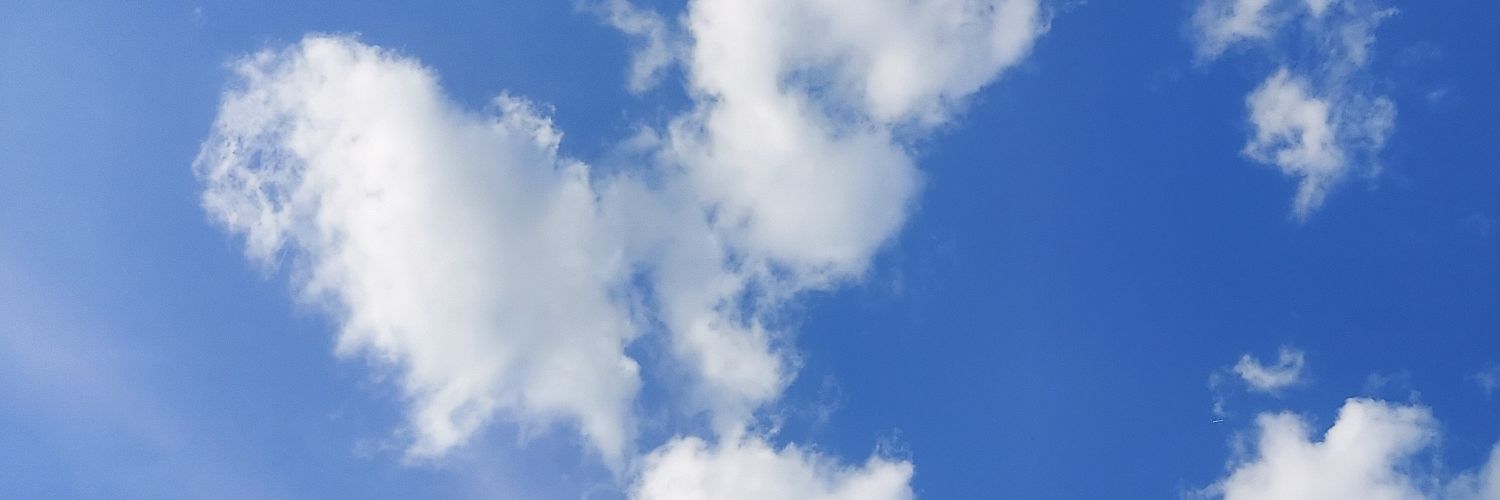 🌻青空🌻 banner