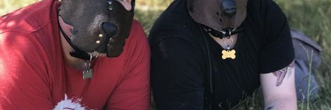 2yourdog's profile banner image