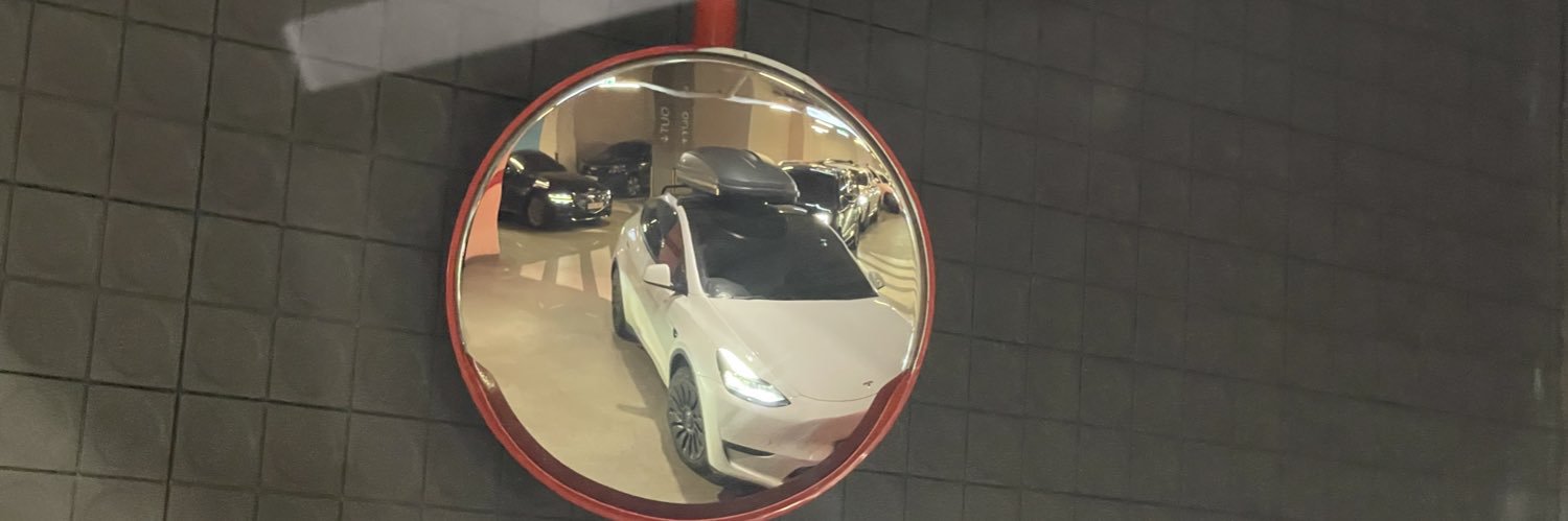 teslabelkin's profile banner image
