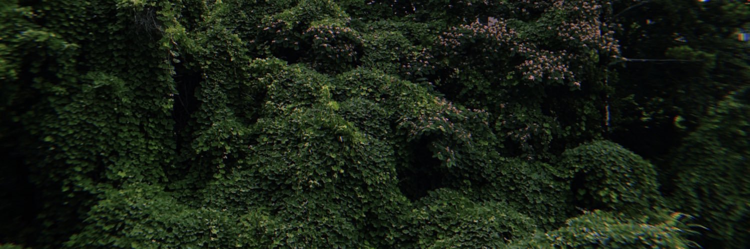 henryarmbrecht's profile banner image