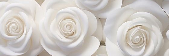 ちゃぴ‎🤍🫧 banner